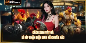 Cách Xem Vảy Gà - Bí Kíp Nhận Diện Linh Kê Chuẩn Xác