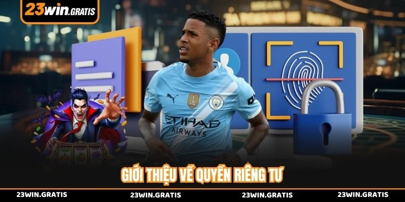 Giới thiệu về quyền riêng tư
