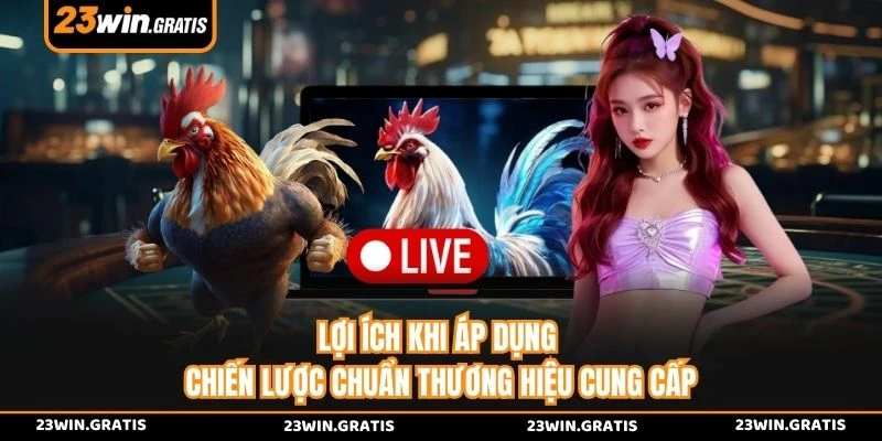 Lợi ích khi áp dụng chiến lược chuẩn thương hiệu cung cấp 