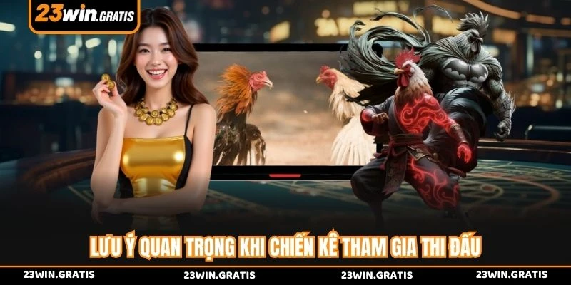 Lưu ý quan trọng khi chiến kê tham gia thi đấu 