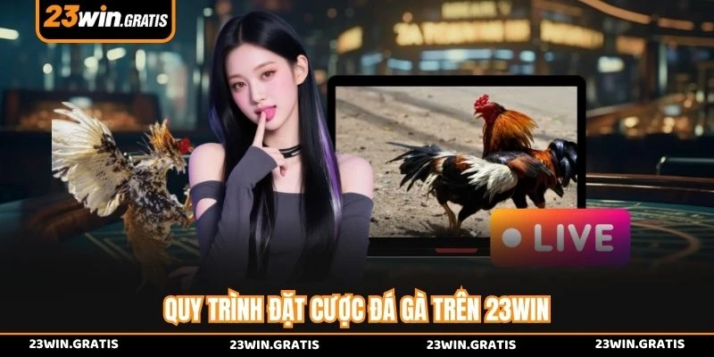 Quy trình đặt cược đá gà trên 23WIN