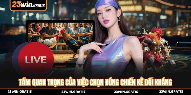 Tầm quan trọng của việc chọn đúng chiến kê đối kháng 