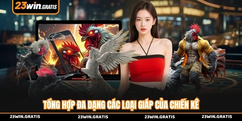 Tổng hợp đa dạng các loại giáp của chiến kê 